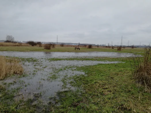 Plains of Zwijndrecht, Antwerp (Belgium)